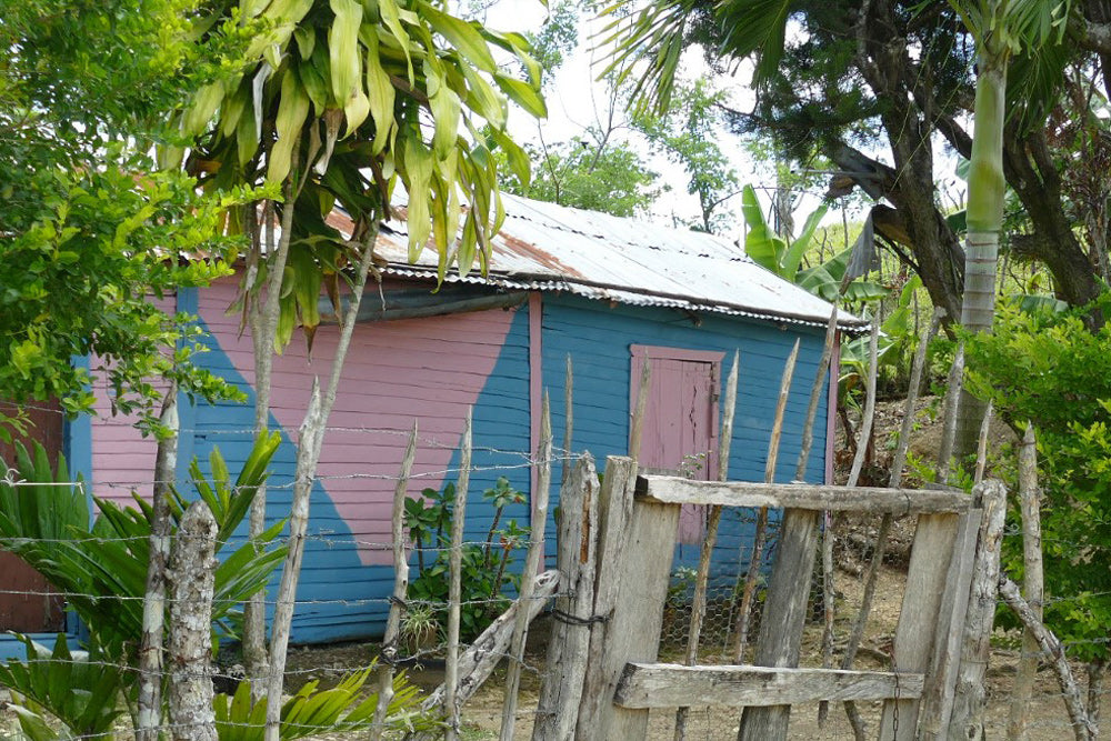 Eine Hütte in rosa und blau, die auf der Finca Fuente Vieja steht ist hinter Palmen auf dem Bild zu sehen